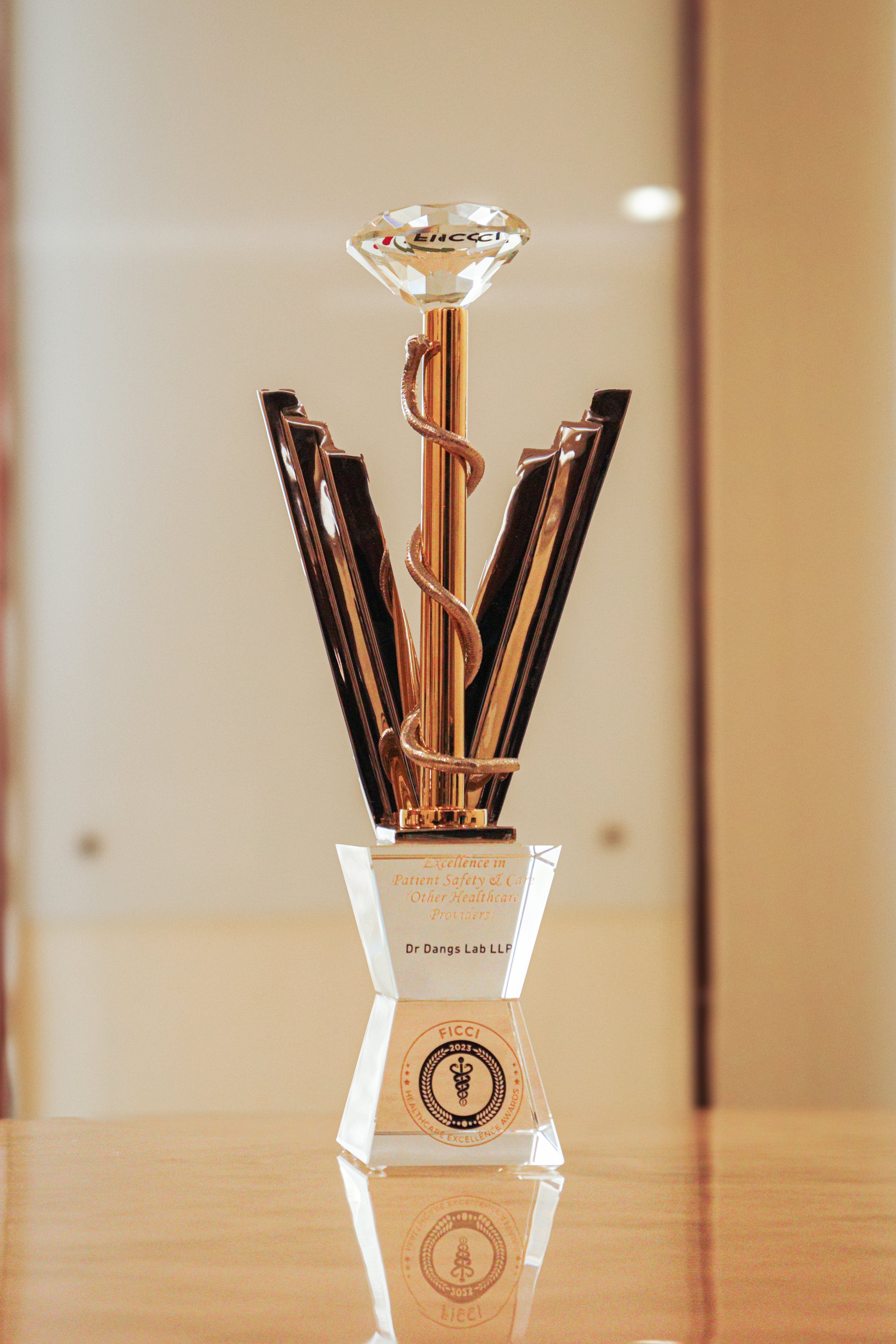 Healthcare Excellence Award